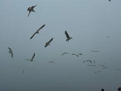 -棒棰岛宾馆景区