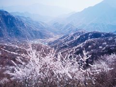 -大岭沟猕猴桃谷风景区