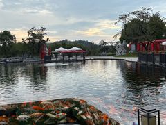 -南京银杏湖乐园