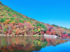 -龙道沟景区
