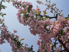 -上海科技馆(地铁站)