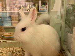 -龙猫仔乐园(惠福东路店)