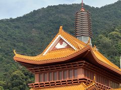 -深圳仙湖植物园