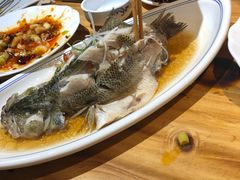 -船尚小镇(武清下朱庄店)