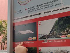 -大澳