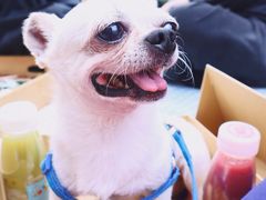 -JUJU韩式烤肉·干杯小酒馆
