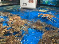 -盒马鲜生(馥邦国际店)