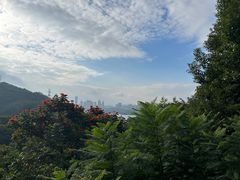 -深圳仙湖植物园