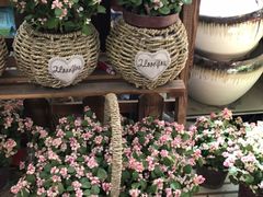 -双季花艺园艺市场(浦东店)