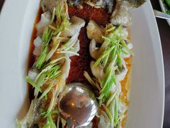 清蒸老虎斑-三利音·东方司宴(外滩店)