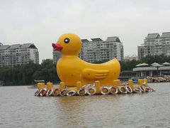 android_upload_pic-紫竹院公园冰场