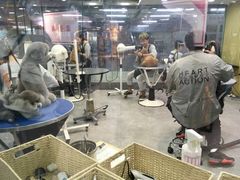 -宠物世家(仲盛世界商城店)