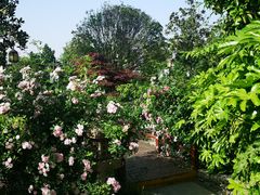 -长安文化生态公园