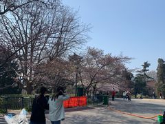 -青岛中山公园-索道售票处