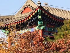 -西海子公园