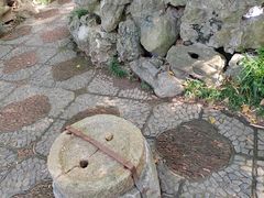 -上海醉白池公园