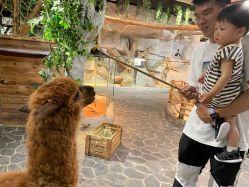 -Zoolung Zoolung动物主题公园(海信广场店)