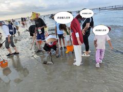 -红树林天天赶海