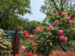 -杭州半山国家森林公园