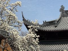 -灵谷景区
