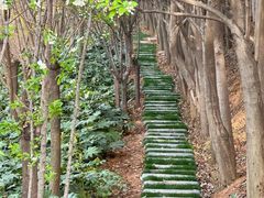 -郑州植物园