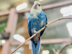 -南宫五洲植物乐园