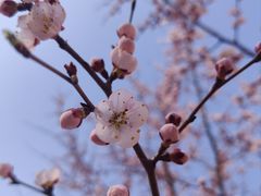 -吉林大学(南岭校区)