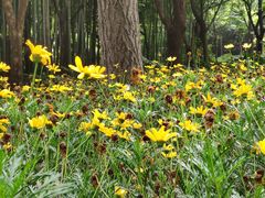 -苏州河梦清园环保主题公园