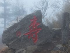 -牛背梁国家森林公园