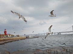 -星海广场