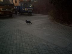 -山东大学(兴隆山校区)