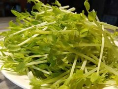 -院里寻菜·精致庭院菜(观沙岭店)