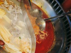 -辣伍鲜毛肚老火锅(元一店)