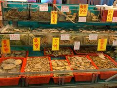 水产区-鲜入围煮花胶鸡海鲜火锅