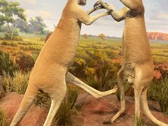 -陕西自然博物馆