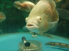 -洛阳龙门海洋馆