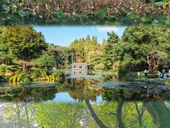 -杭州植物园