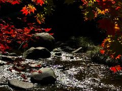 景点-本溪老边沟风景区