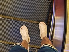 -老板恋上鱼(印象城店)