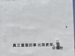 -海岛日记(养马岛店)