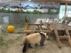 -西安秦岭野生动物园