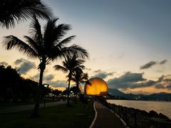 -野狸岛