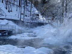 -峡谷浮石林景区