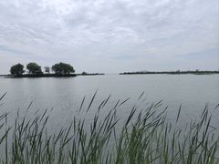 -苏州太湖湖滨国家湿地公园