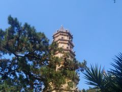 -船政文化景区-罗星塔公园