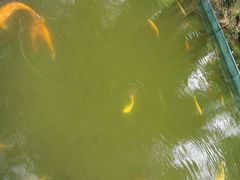 -珠海圆明新园