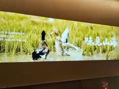 -桂小厨广西菜(水晶城店)