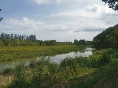 -东郊湿地公园
