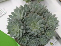 -甘肃国际会展中心