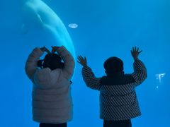 -海合安成都极地海洋公园